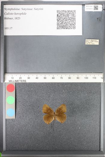 Media type: image;   Entomology 102619